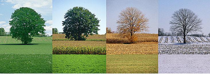 国产演艺圈乙女游戏《巴克斯的庆典》1月11日发售 原价28元