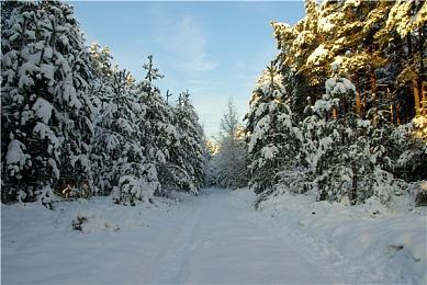 《铁拳8》监督回应玩家不满：团队正在全力分析反馈